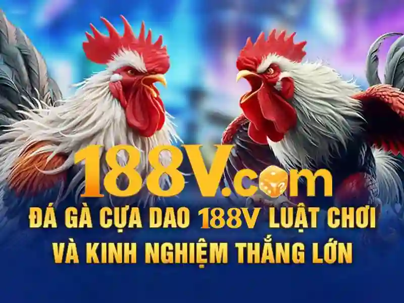 khuyến mãi 188v - 188V khuyến mãi 188v - 188V
